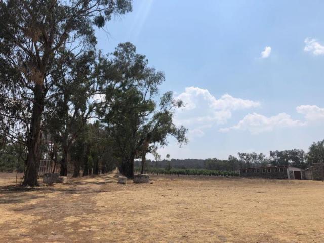 Terreno en venta en San Pablo Ojo de Agua, Huasca de Ocampo, Hidalgo