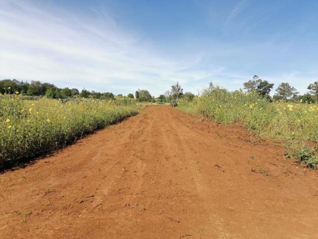 Terreno en venta en San Pablo Ojo de Agua, Huasca de Ocampo, Hidalgo