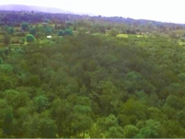Terreno en venta en San Pablo Ojo de Agua, Huasca de Ocampo, Hidalgo