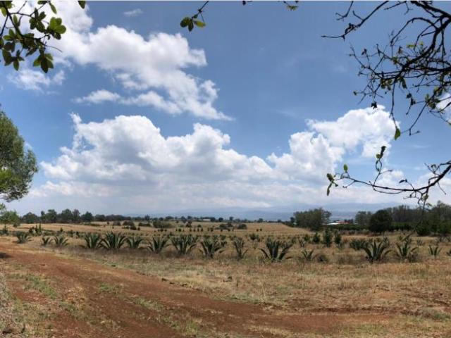 Terreno en venta en San Pablo Ojo de Agua, Huasca de Ocampo, Hidalgo