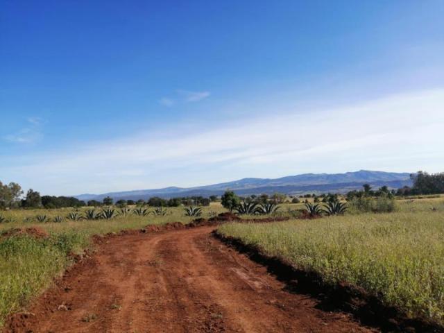 Terreno en venta en San Pablo Ojo de Agua, Huasca de Ocampo, Hidalgo