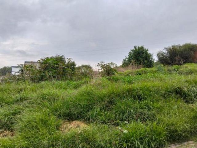 TERRENO EN VENTA EN SAN PEDRITO PEÑUELAS