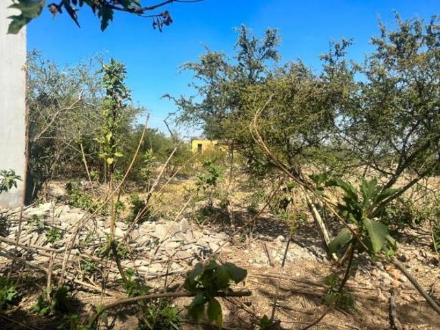 ️ ¡TERRENO EN VENTA EN SAN PEDRO TLAQUEPAQUE, JALISCO!