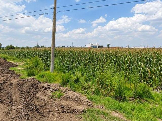 Terreno de 4888 m² de superficie total en venta en San Pedro Cholula