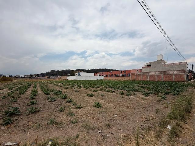 TERRENO EN VENTA EN ZEREZOTLA