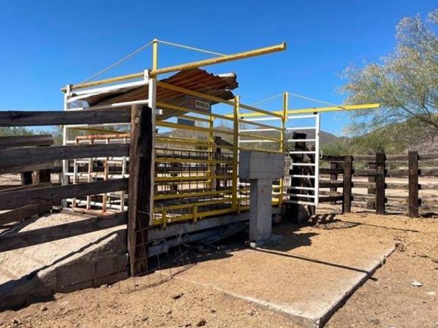 Terreno en venta en San Pedro el Saucito para campo o ganado