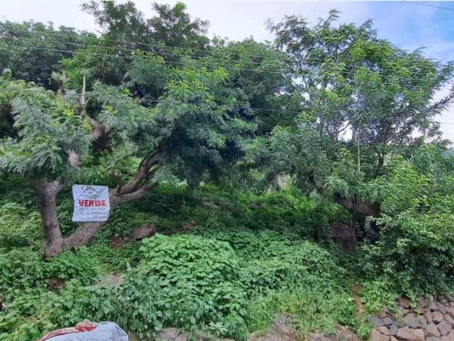 Terreno en venta en San Pedro Itzican, Poncitlán, Jalisco