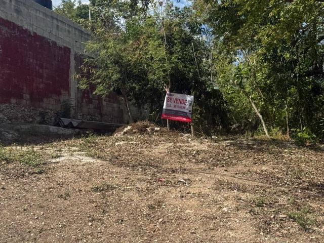 TERRENO EN VENTA EN SAN RAFAEL, CAMPECHE