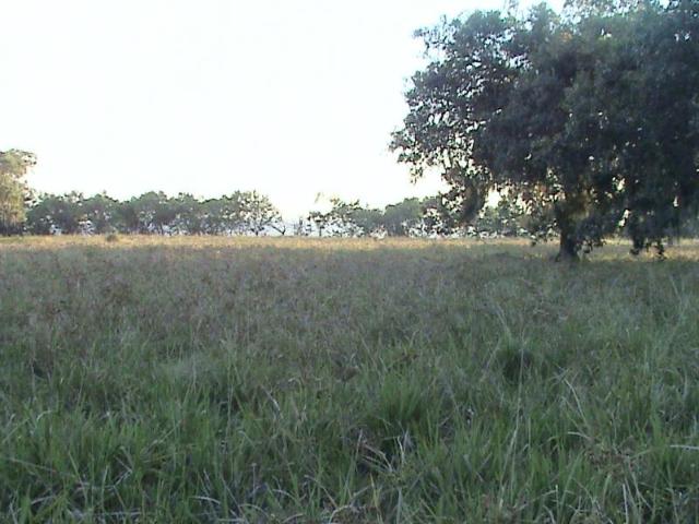 Terreno en venta en San Rafael, Venustiano Carranza, Puebla
