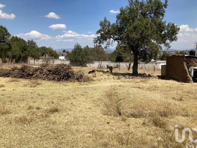 Terreno en Venta en San Simón Tlatlahuquitepec, Xaltocan, Tlaxcala