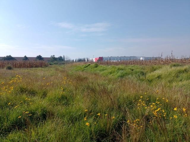 Terreno en venta en Santa Ma. Totoltepec