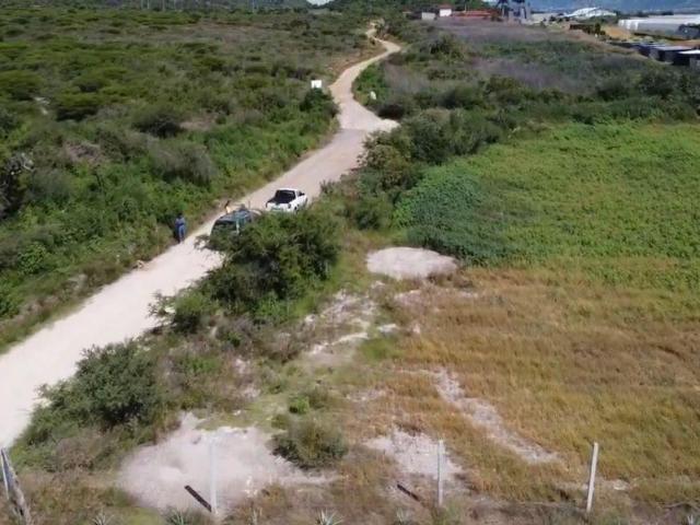Terreno en venta en Santa Mar?a del TuLE