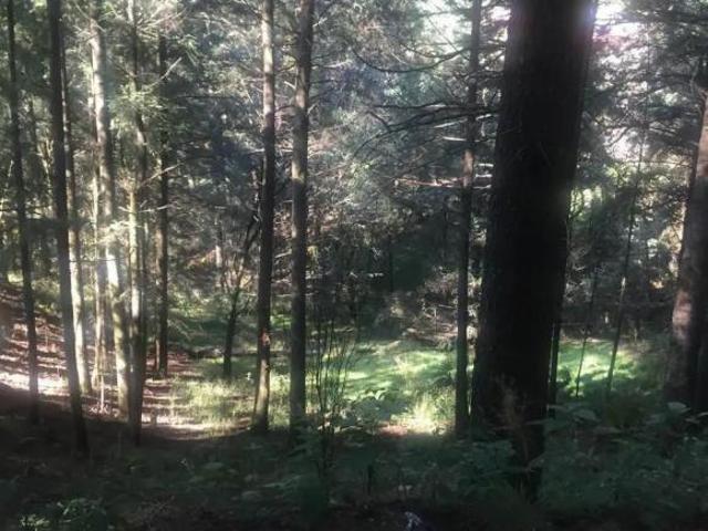 TERRENO EN VENTA EN SANTA MARIA MAZATLA JILOTZINGO