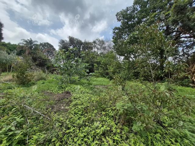 Terreno en Venta en Santa María Ahuacatitlán T77