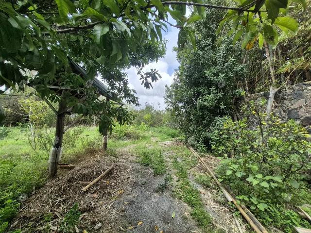 Terreno en Venta en Santa María Ahuacatitlán T78