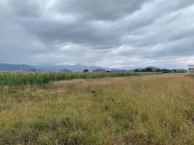 Terreno en Venta en Santa María Guelacé, Tlacolula, Oaxaca