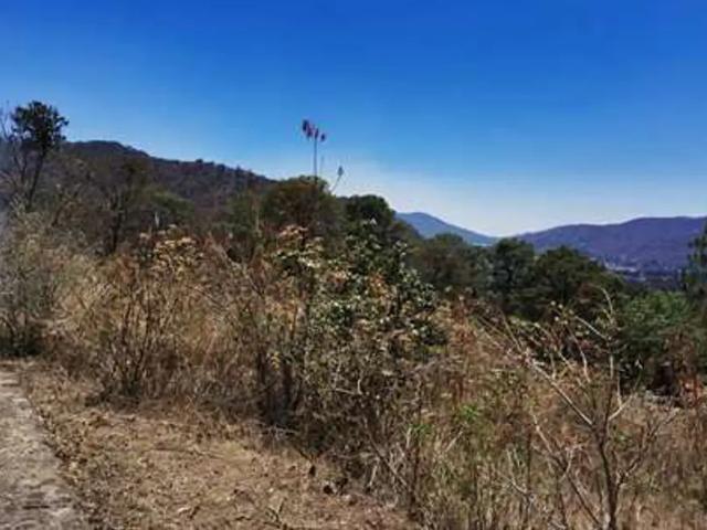 Terreno en venta en Santa María Pipioltepec Pipioltepec, Valle de Bravo, México