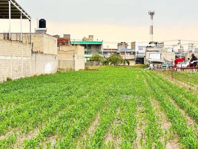 Terreno en Venta en Santa Ana Tlapaltitlan