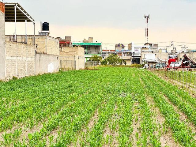 Terreno en Venta en Santa Ana Tlapaltitlan
