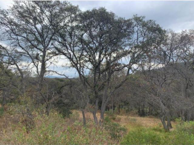Terreno en venta en Santa Ana Jilotzingo, Jilotzingo, México