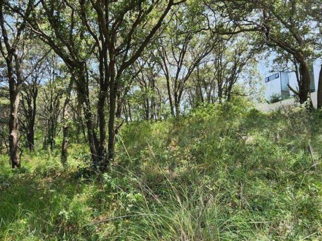 TERRENO en venta en Santa Ana JILOTZINGO