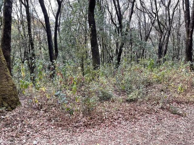 Terreno en Venta en Santa Ana Jilotzingo