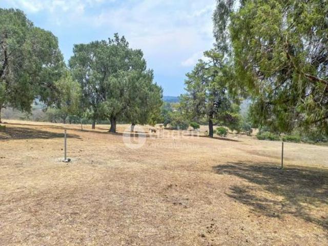 TERRENO RÚSTICO EN VENTA EN SANTA CLARA ALPUYECA, ZONA HARAS DEL BOSQUE, PUEBLA