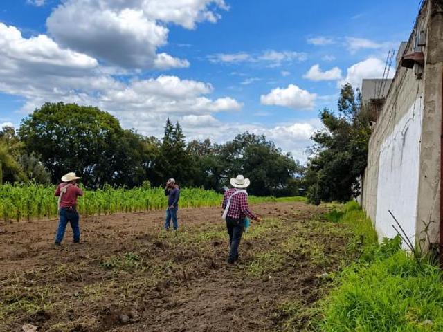 TERRENO EN VENTA EN SANTA CRUZ GUADALUPE, CHIAUTEMPAN, TLAXCALA