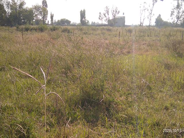 Terreno en venta en Santa Cruz del Valle, Tlajomulco de Zúñiga, Jalisco