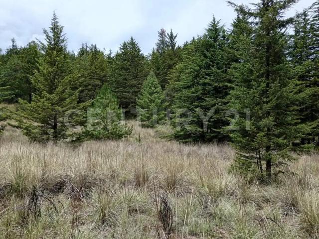 Terreno en venta en Santa Cruz el Tejocote El Tejocote, El Oro, México