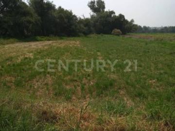 TERRENO EN VENTA EN SANTA CRUZ TLAXCALA