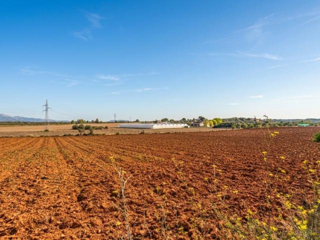 Terreno en venta en Santa Eugenia