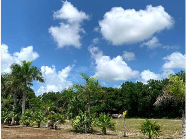 Terreno en venta en Santa Fe Cuajimalpa, Cuajimalpa de Morelos, Ciudad de México
