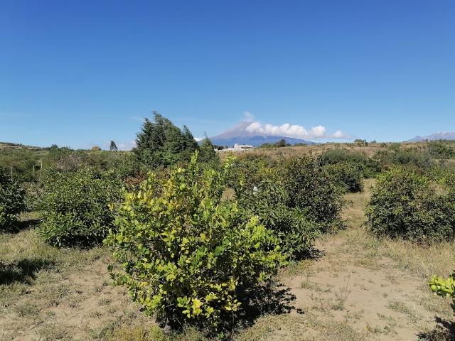 Terreno en Venta en Santa Isabel Cholula