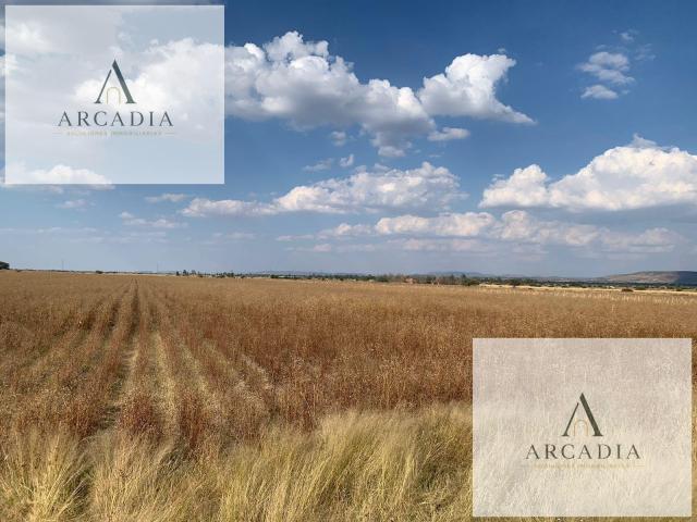 TERRENO EN VENTA EN SANTA ROSA