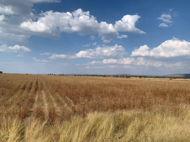 Terreno en Venta en Santa Rosa