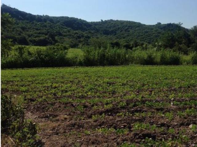Terreno en venta en Santa Rosa Treinta, Tlaltizapán de Zapata, Morelos