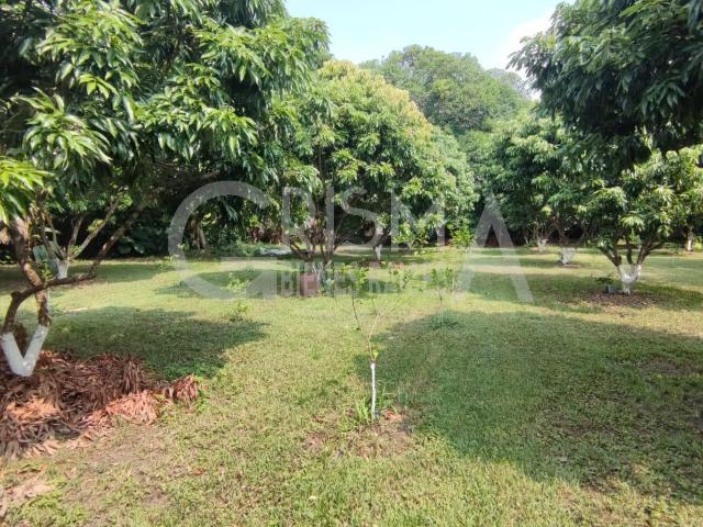 TERRENO EN VENTA EN SANTIAGO DE LA PE?A