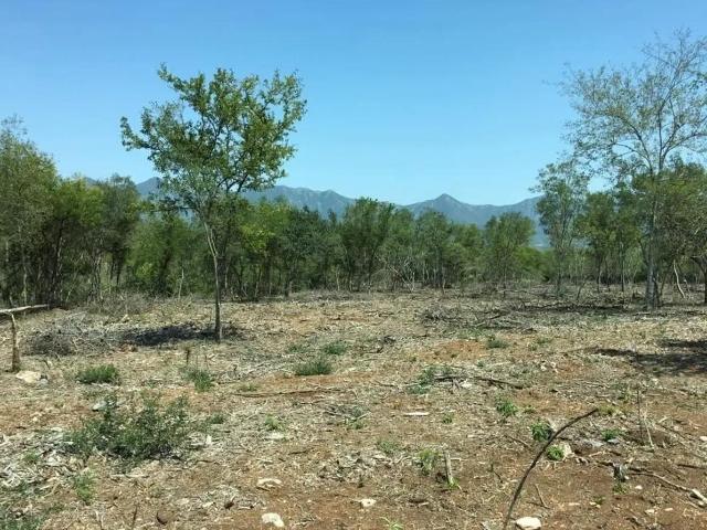 Terreno en Venta en Santiago, El Barrial