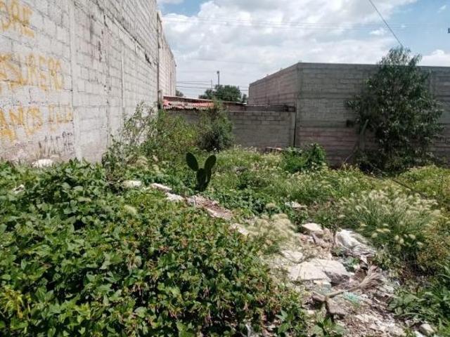 Terreno en Venta en Santo Tomas Chicoloapan
