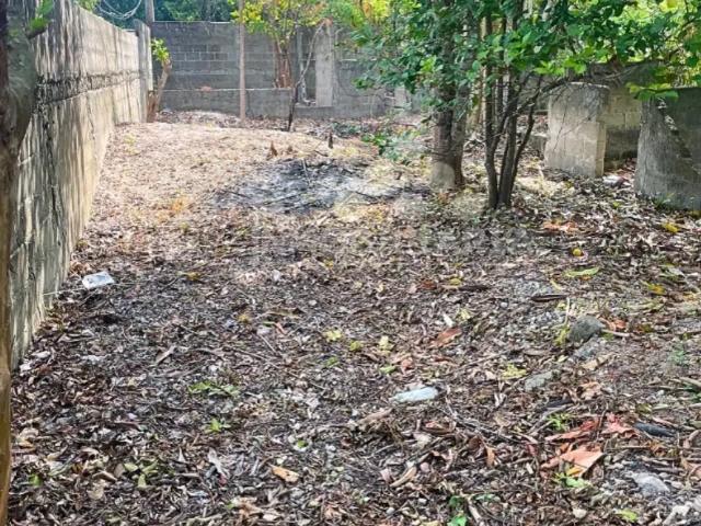 Terreno en venta en Sector El Aguacate, Medellín y Pigua, Centro, Tabasco
