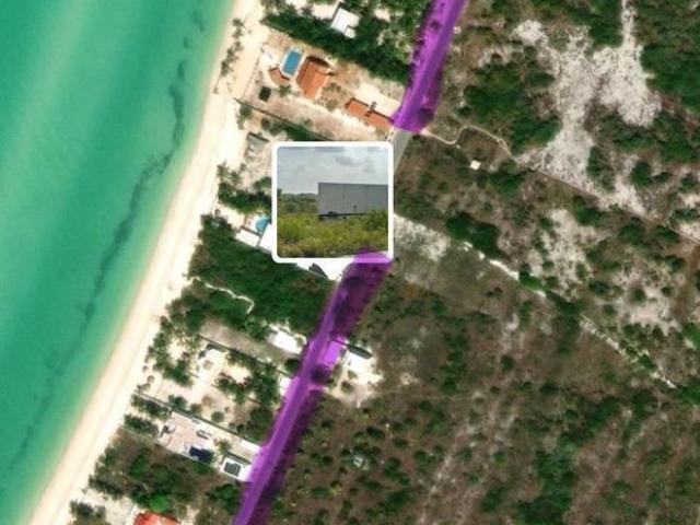 TERRENO EN VENTA EN SEGUNDA FILA DE LAS PLAYAS DE CELESTUN, YUCAT?N