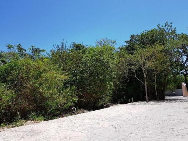 TERRENO EN VENTA EN SELVAMAR EL JAGUAR PLAYA DEL CARMEN