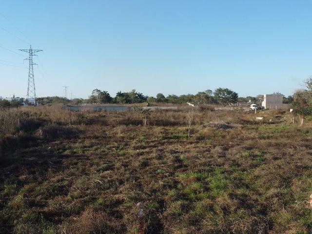 Terreno en Venta en Seye | RML |