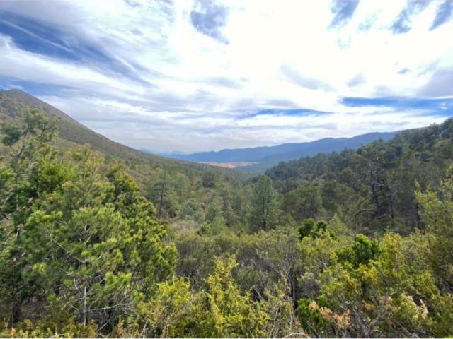 Terreno en venta en Sierra Hermosa, Arteaga, Coahuila de Zaragoza