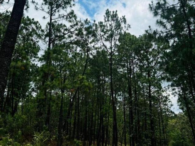 Terreno en venta en Sierra Mazati