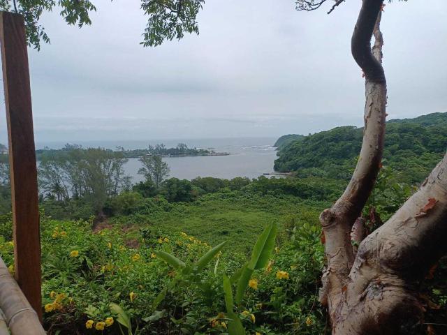 Terreno en venta en Sontecomapan, Catemaco, Veracruz de Ignacio de la Llave