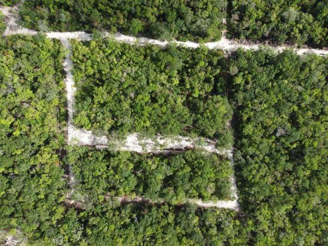 Terreno en Venta en Tulum Quintana Roo