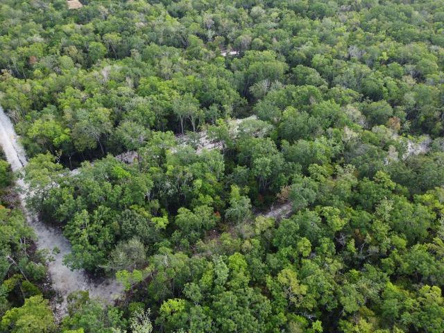 Terreno en Venta en Tulum Quintana Roo