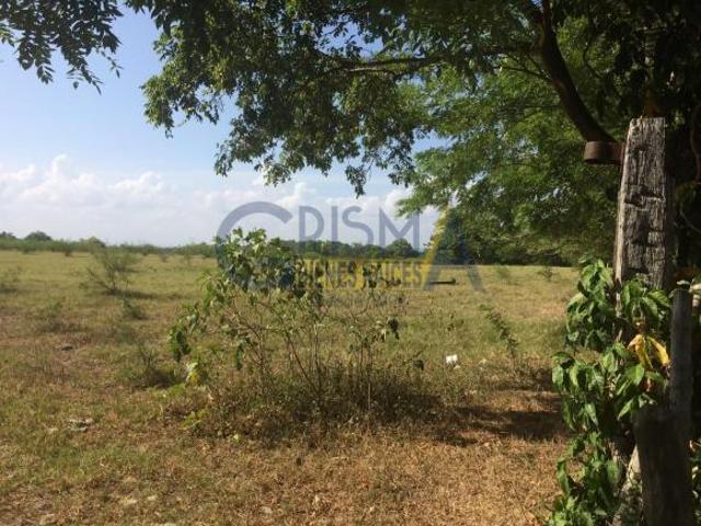 TERRENO EN VENTA EN TUXPAN, EN OJITE